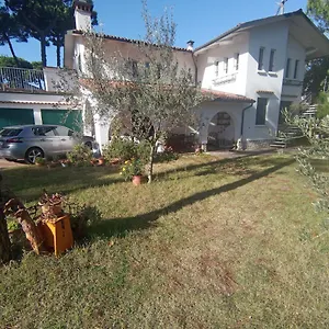 Pineta Appartamento